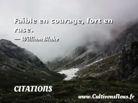 Faible en courage, fort en ruse.     - William Blake CITATIONS