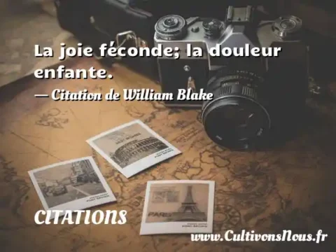 La joie féconde; la douleur enfante. - Citation de William Blake CITATIONS