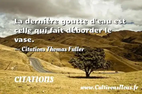 La dernière goutte d eau est celle qui fait déborder le vase. - Citations Thomas Fuller CITATIONS