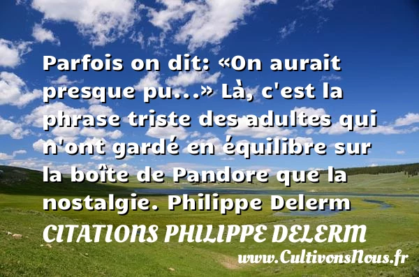 Parfois on dit: On aurait - Citations Philippe Delerm - Citation parfois