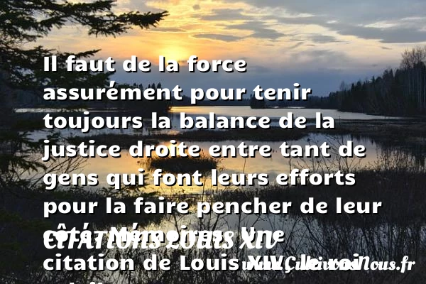 Il faut de la force - Citations Louis XIV