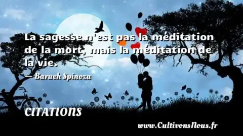 La sagesse n est pas la méditation de la mort, mais la méditation de la vie.   - Baruch Spinoza CITATIONS