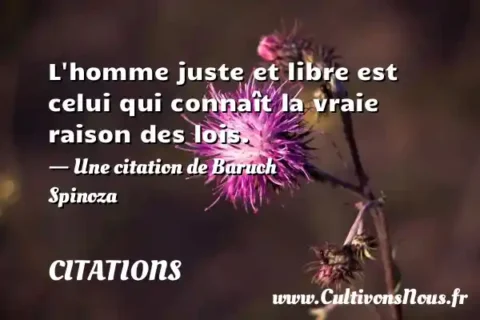 L homme juste et libre est celui qui connaît la vraie raison des lois. - Une citation de Baruch Spinoza CITATIONS