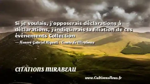 Si je voulais, j opposerais déclarations à déclarations, j indiquerais la filiation de ces événements Collection - Honoré Gabriel Riqueti - Comte de Mirabeau CITATIONS MIRABEAU