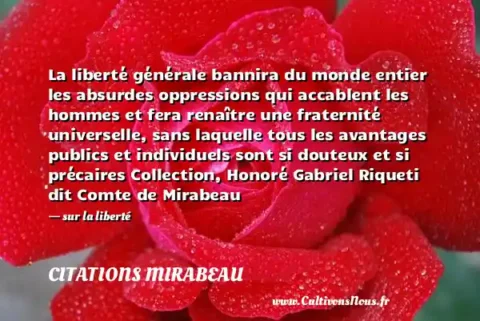 La liberté générale bannira du monde entier les absurdes oppressions qui accablent les hommes et fera renaître une fraternité universelle, sans laquelle tous les avantages publics et individuels sont si douteux et si précaires Collection, Honoré Gabriel Riqueti dit Comte de Mirabeau - sur la liberté CITATIONS MIRABEAU