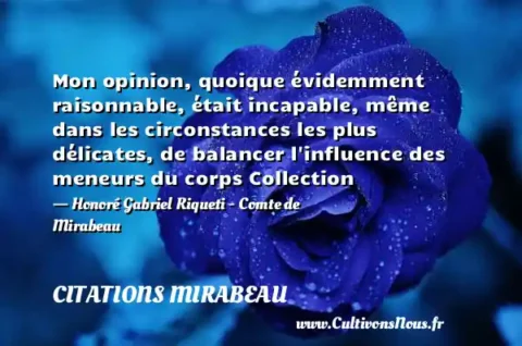 Mon opinion, quoique évidemment raisonnable, était incapable, même dans les circonstances les plus délicates, de balancer l influence des meneurs du corps Collection - Honoré Gabriel Riqueti - Comte de Mirabeau CITATIONS MIRABEAU