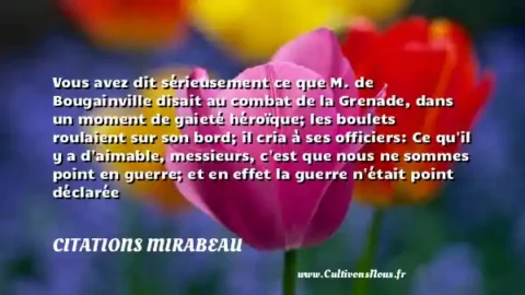 Vous avez dit sérieusement ce que M. de Bougainville disait au combat de la Grenade, dans un moment de gaieté héroïque; les boulets roulaient sur son bord; il cria à ses officiers: Ce qu il y a d aimable, messieurs, c est que nous ne sommes point en guerre; et en effet la guerre n était point déclarée - Collection. CITATIONS MIRABEAU