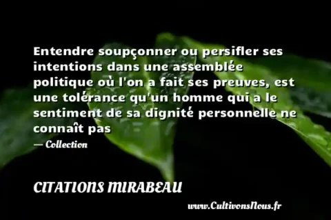 Entendre soupçonner ou persifler ses intentions dans une assemblée politique où l on a fait ses preuves, est une tolérance qu un homme qui a le sentiment de sa dignité personnelle ne connaît pas - Collection CITATIONS MIRABEAU