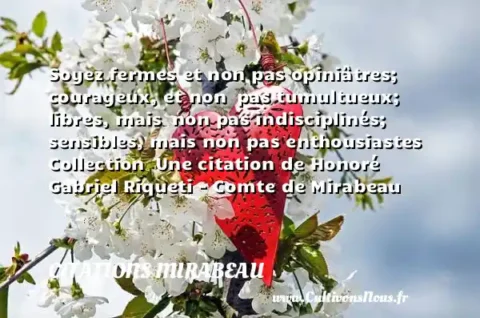 Soyez fermes et non pas opiniâtres; courageux, et non  pas tumultueux; libres, mais  non pas indisciplinés; sensibles, mais non pas enthousiastes Collection  Une citation de Honoré Gabriel Riqueti - Comte de Mirabeau CITATIONS MIRABEAU