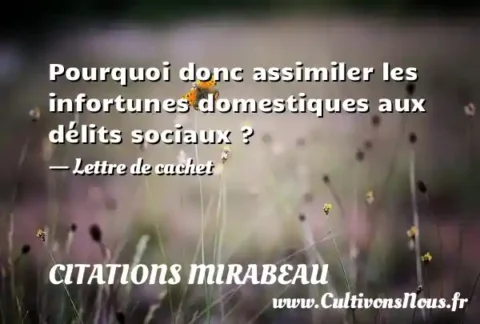 Pourquoi donc assimiler les infortunes domestiques aux délits sociaux ? - Lettre de cachet CITATIONS MIRABEAU