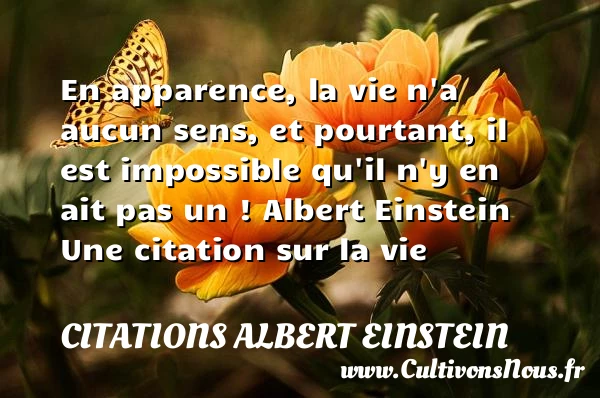 En apparence, la vie n’a - Citations Albert Einstein - Citation sur la vie