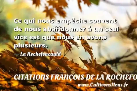 Ce qui nous empêche souvent de nous abandonner à un seul vice est que nous en avons plusieurs. - La Rochefoucauld CITATIONS FRANÇOIS DE LA ROCHEFOUCAULD