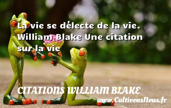 La vie se délecte de la vie. - Citations William Blake - Citation sur la vie