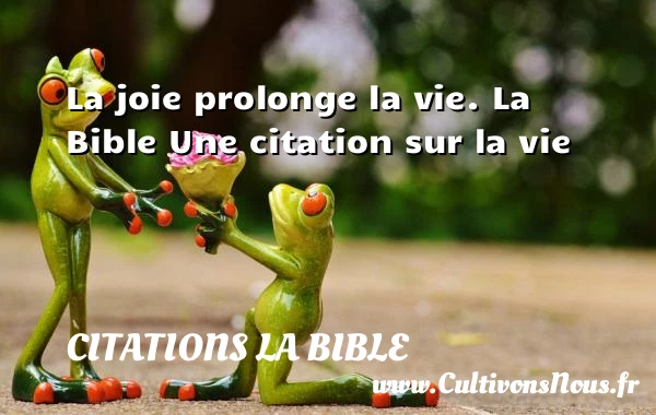 La joie prolonge la vie. - Citations la Bible - Citation sur la vie