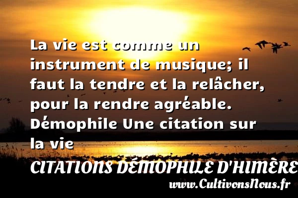 La vie est comme un - Citations Démophile d'Himère - Citation sur la vie