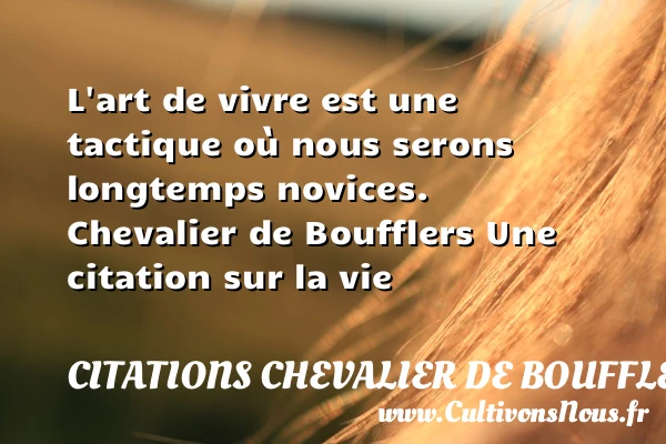 L’art de vivre est une - citations Chevalier de Boufflers - Citation cheval - Citation sur la vie