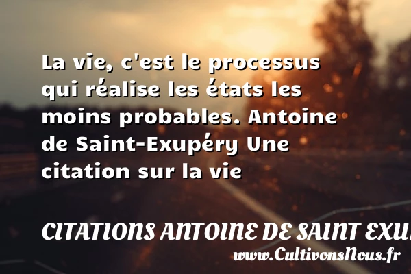 La vie, c’est le processus - Citations Antoine de Saint Exupéry - Citation sur la vie