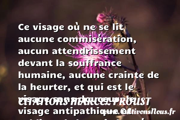 Ce visage où ne se lit - Citations Marcel Proust - citation bonté - Citation visage