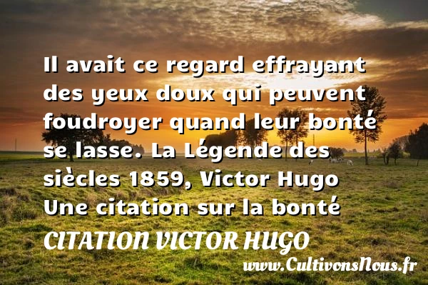 Il avait ce regard effrayant - citation Victor Hugo - citation bonté