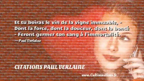 Et tu boiras le vin de la vigne immuable, - Dont la force, dont la douceur, dont la bonté - Feront germer ton sang à l immortalité. - Paul Verlaine CITATIONS PAUL VERLAINE