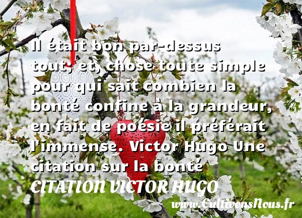 Il était bon par-dessus - citation Victor Hugo - citation bonté