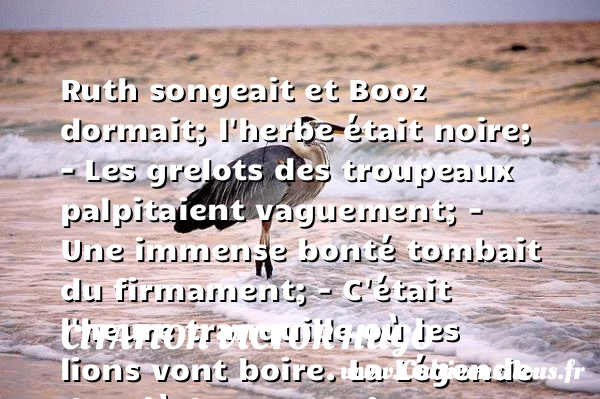 Ruth songeait et Booz - citation Victor Hugo - citation bonté
