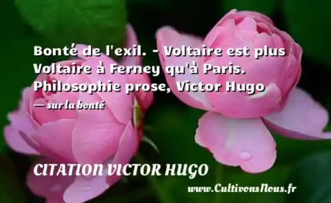 Bonté de l exil. - Voltaire est plus Voltaire à Ferney qu à Paris. Philosophie prose, Victor Hugo - sur la bonté CITATION VICTOR HUGO