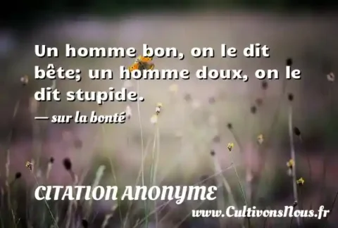 Un homme bon, on le dit bête; un homme doux, on le dit stupide. - sur la bonté CITATION ANONYME