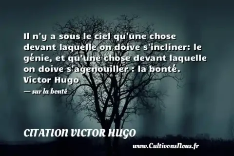 Il n y a sous le ciel qu une chose devant laquelle on doive s incliner: le génie, et qu une chose devant laquelle on doive s agenouiller : la bonté. Victor Hugo - sur la bonté CITATION VICTOR HUGO
