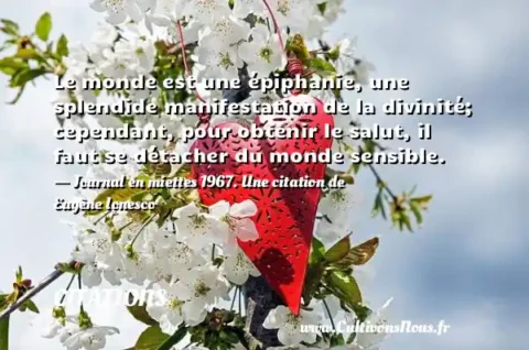 Le monde est une épiphanie, une splendide manifestation de la divinité; cependant, pour obtenir le salut, il faut se détacher du monde sensible. - Journal en miettes 1967. Une citation de Eugène Ionesco CITATIONS