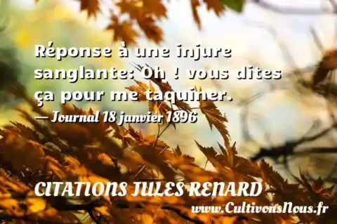Réponse à une injure sanglante: Oh ! vous dites ça pour me taquiner. - Journal 18 janvier 1896 CITATIONS JULES RENARD