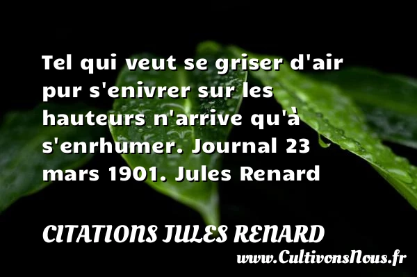 Tel qui veut se griser d’air - Citations Jules Renard - Citation hauteur