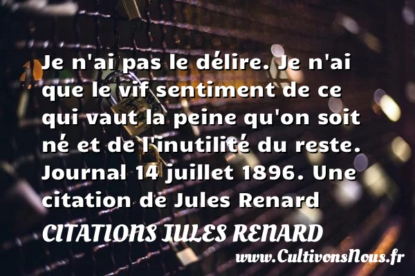 Je n’ai pas le délire. Je - Citations Jules Renard - Citation lire