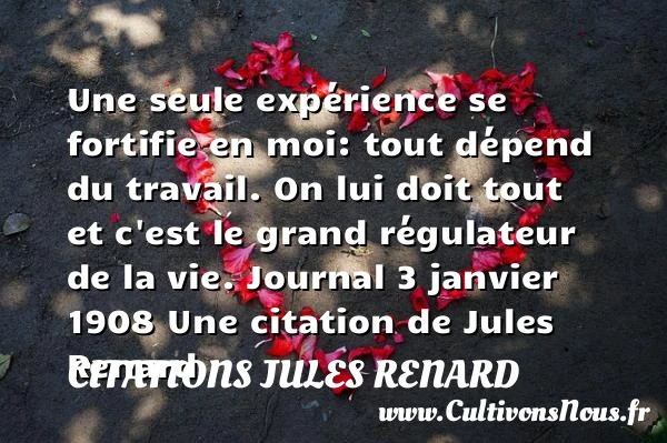 Une seule expérience se - Citations Jules Renard - Citation travail