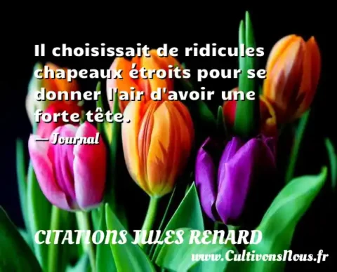 Il choisissait de ridicules chapeaux étroits pour se donner l air d avoir une forte tête. - Journal CITATIONS JULES RENARD