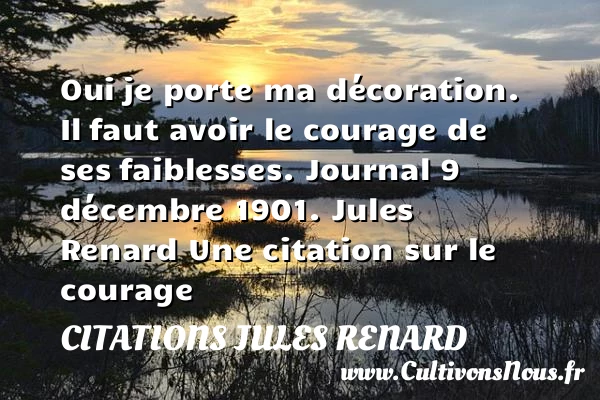 Oui - Citations Jules Renard - Citation courage
