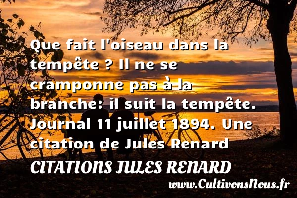 Que fait l’oiseau dans la - Citations Jules Renard - Citation oiseau
