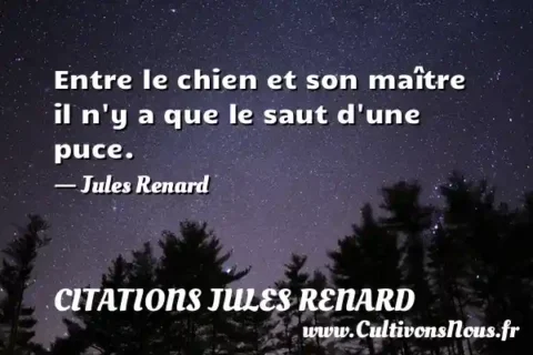 Entre le chien et son maître il n y a que le saut d une puce. - Jules Renard CITATIONS JULES RENARD