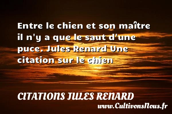 Entre le chien - Citations Jules Renard - Citation chien