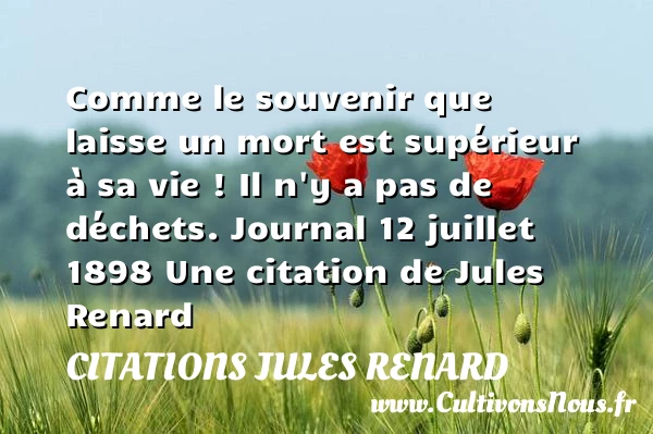 Comme le souvenir que laisse - Citations Jules Renard - Citation souvenir