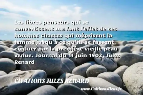 Les libres penseurs qui se convertissent me font l effet de ces hommes chastes qui méprisent la femme jusqu à ce qu ils se fassent engluer par la première vieille peau venue. Journal du 11 juin 1902, Jules Renard CITATIONS JULES RENARD