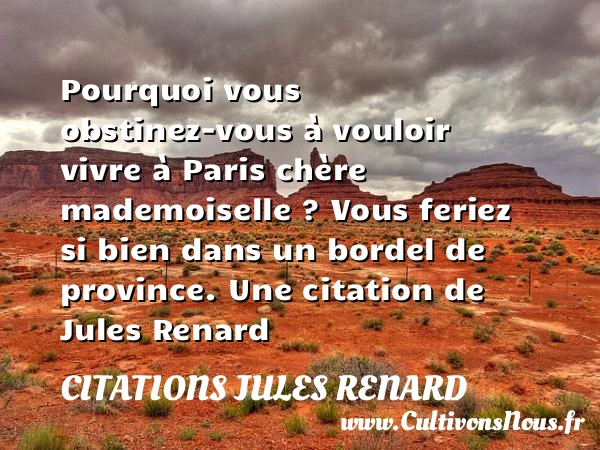 Pourquoi vous obstinez-vous - Citations Jules Renard - Citation pourquoi
