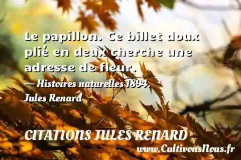Le papillon. Ce billet doux plié en deux cherche une adresse de fleur. - Histoires naturelles 1894. Jules Renard CITATIONS JULES RENARD