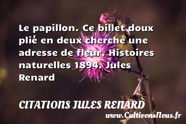 Le papillon. Ce billet doux - Citations Jules Renard - Citation papillon
