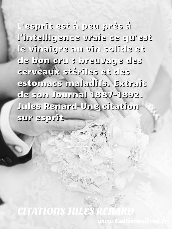 L’esprit est à peu près - Citations Jules Renard - Citation esprit