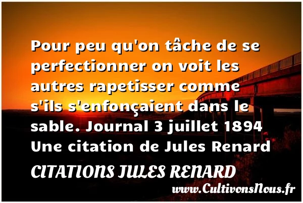 Pour peu qu’on tâche de se - Citations Jules Renard - Citation perfection