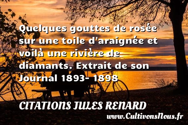 Quelques gouttes de rosée - Citations Jules Renard - Citation rose