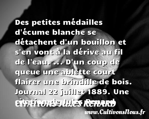 Des petites médailles - Citations Jules Renard