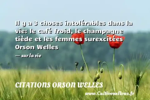 Il y a 3 choses intolérables dans la vie: le café froid, le champagne tiède et les femmes surexcitées Orson Welles - sur la vie CITATIONS ORSON WELLES