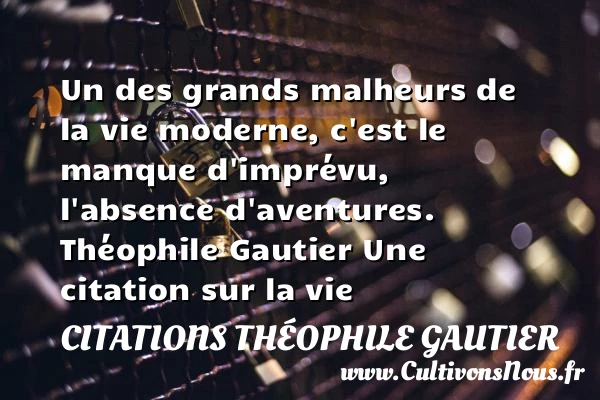 Un des grands malheurs de la - Citations Théophile Gautier - Citation sur la vie